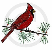 Winter Cardinal